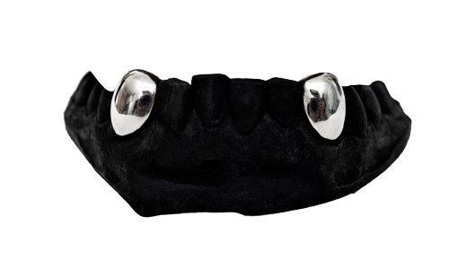 2 Full Teeth