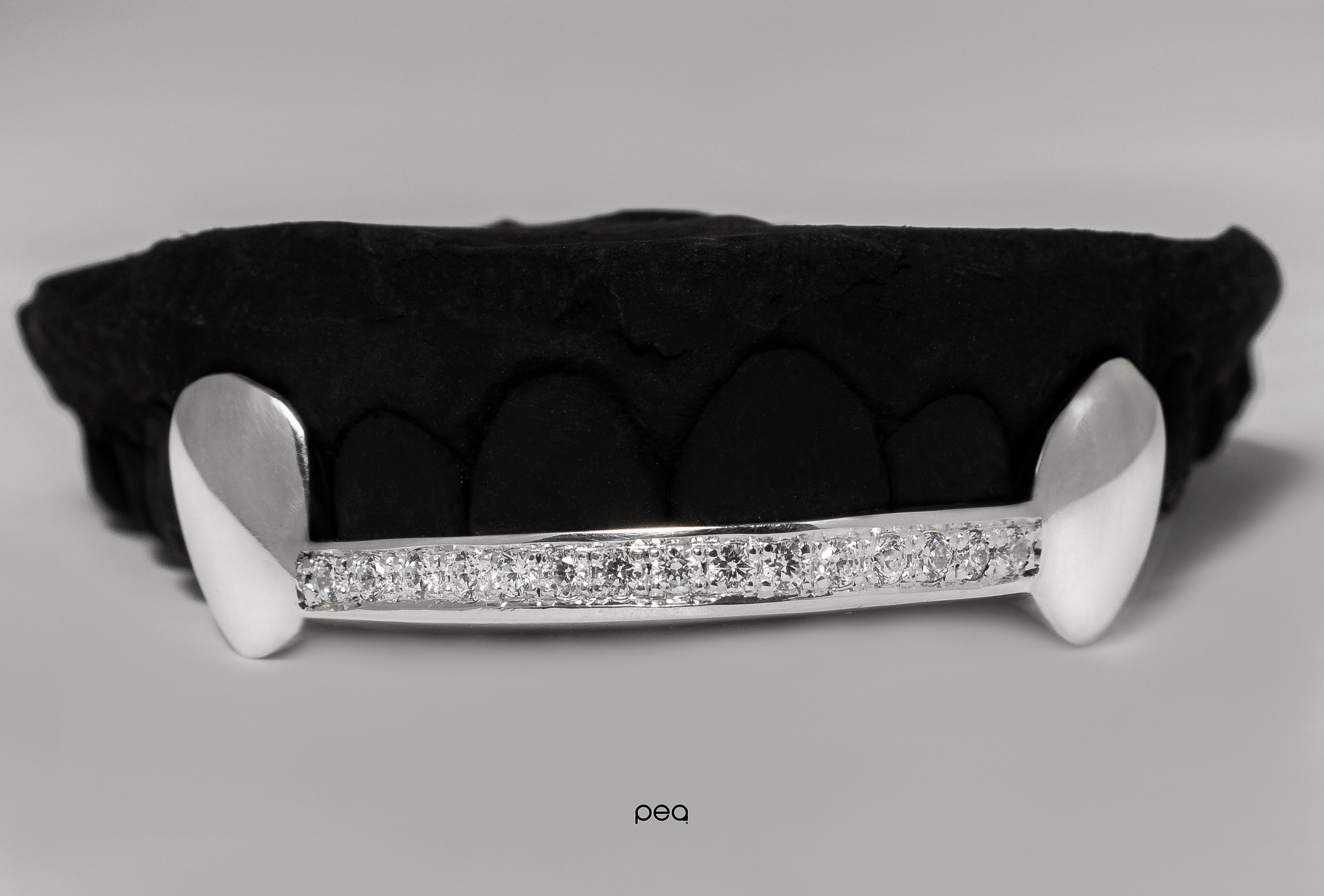 2 Fangs (with encrusted bridge)