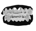 16 Teeth (8 top + 8 bottom) + Cz